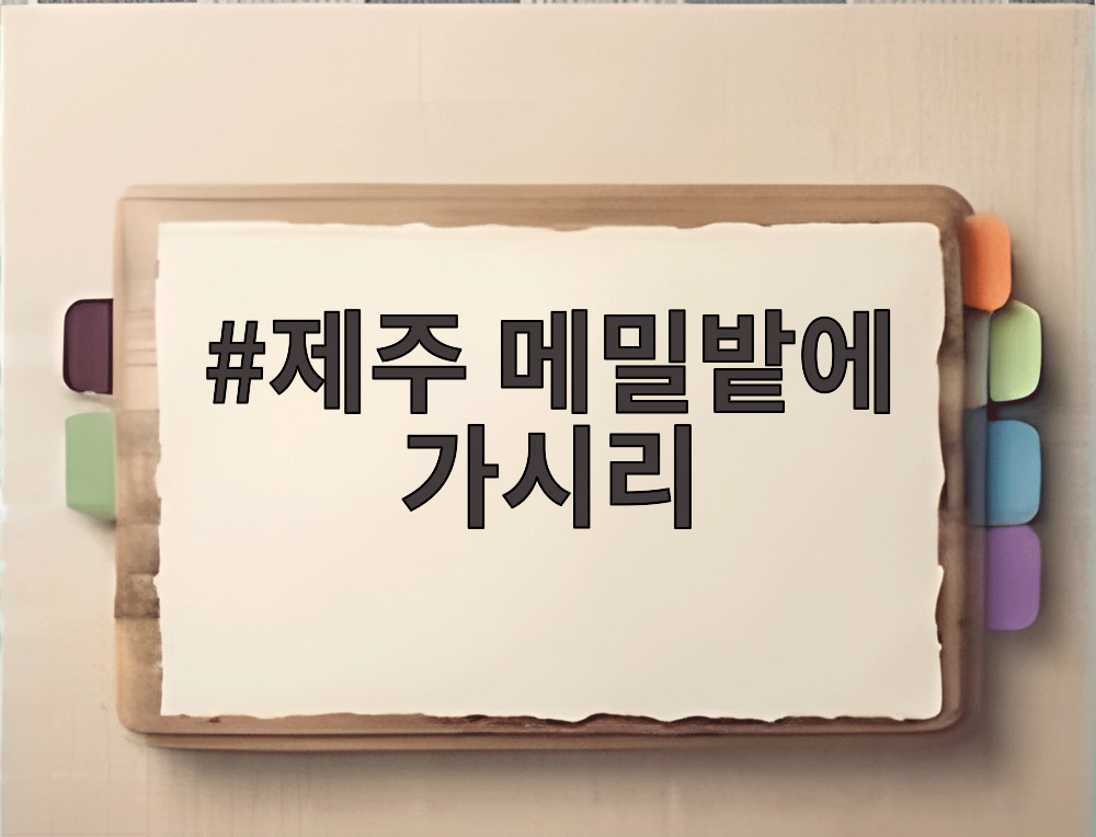 제주 메밀밭에 가시리