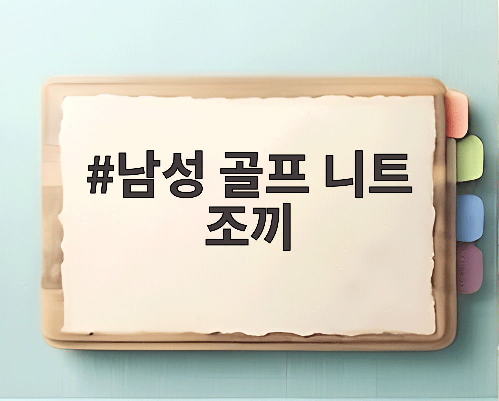 남성 골프 니트 조끼