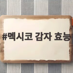 멕시코 감자 효능 생으로 먹는 법과 보관법 총정리 멕시코 감자 효능
