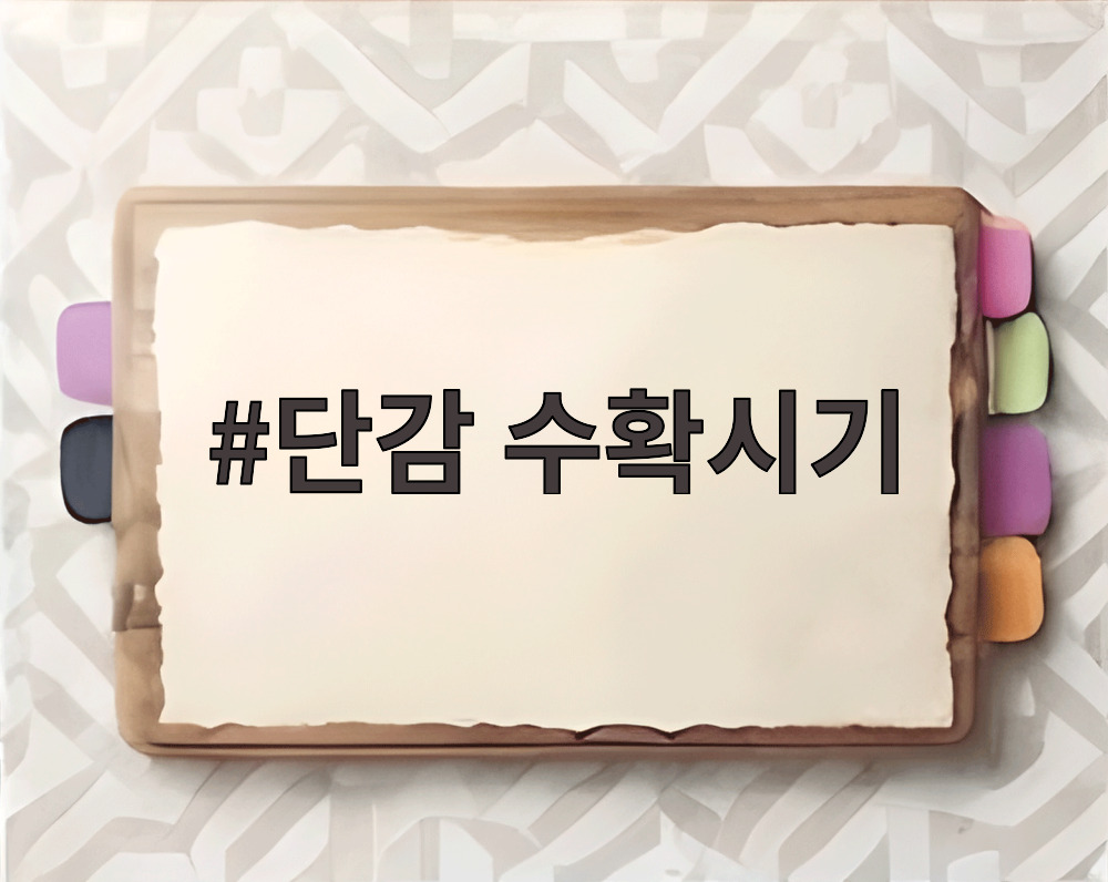 단감 수확시기