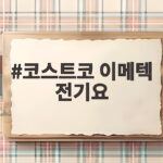 코스트코 이메텍 전기요 구매 전 확인하고 따뜻한 겨울 보내세요 코스트코 이메텍 전기요