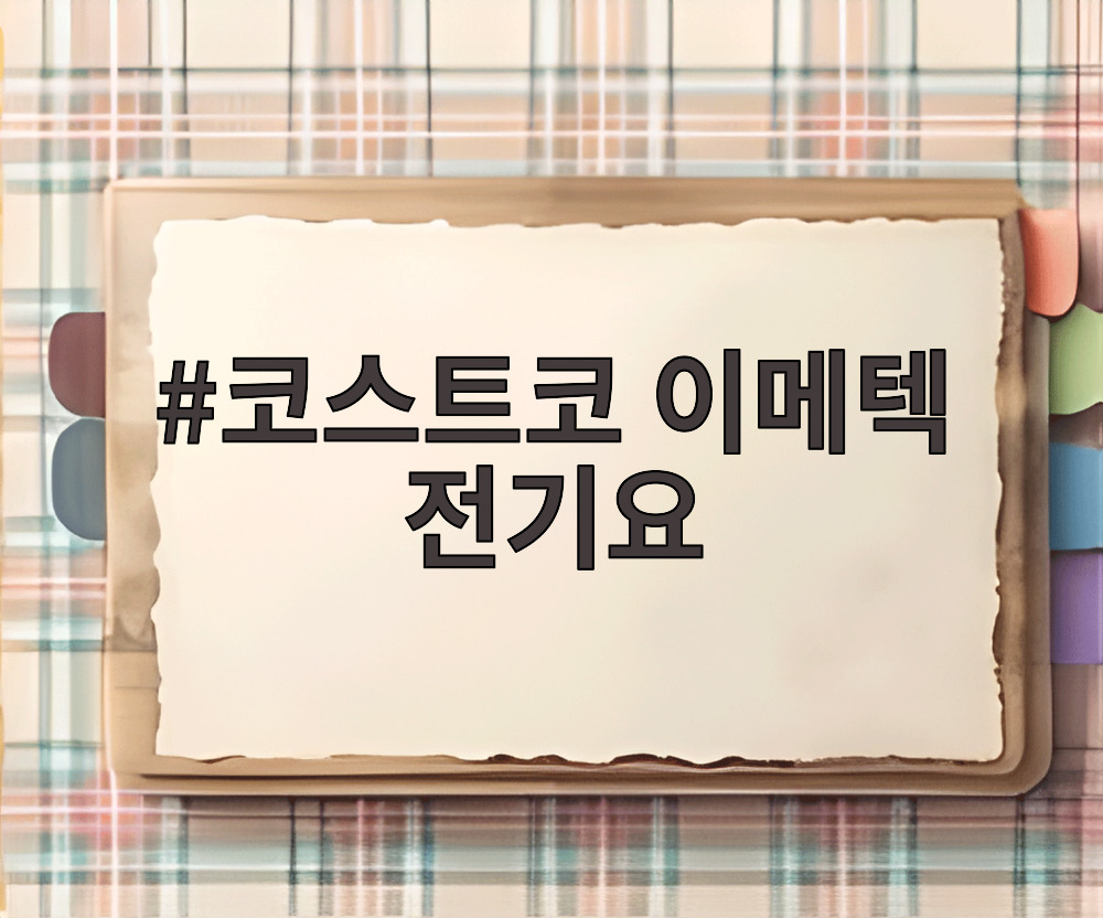 코스트코 이메텍 전기요