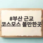 부산 근교 코스모스 볼만한곳