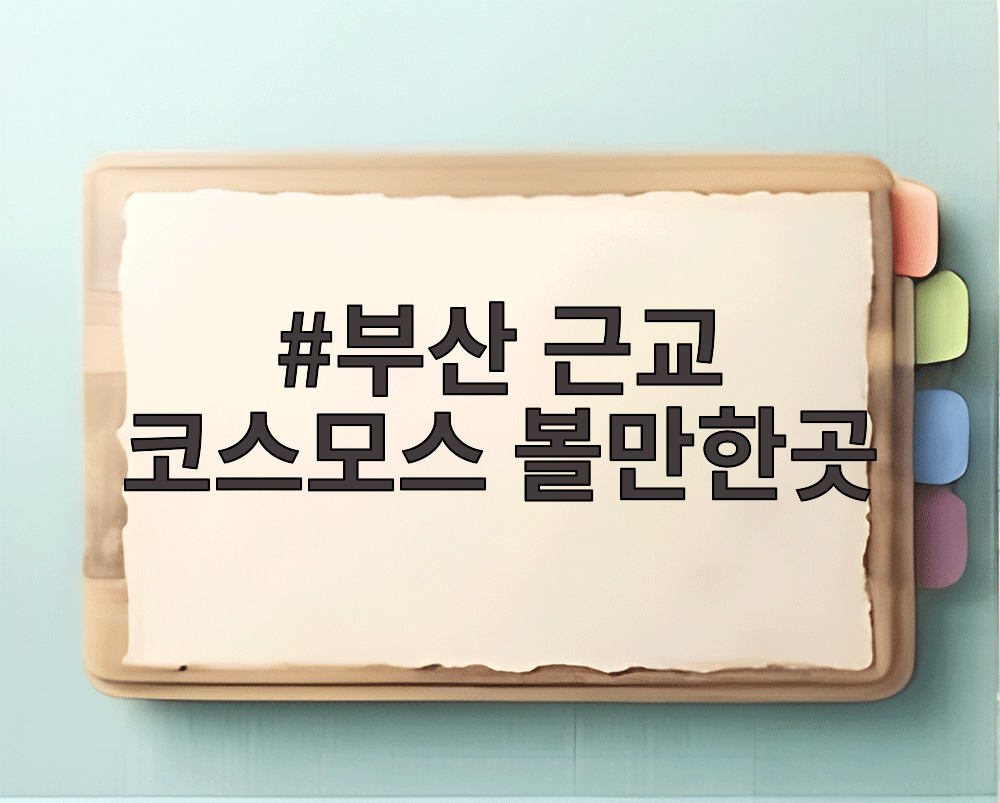 부산 근교 코스모스 볼만한곳