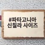 파타고니아 신칠라 사이즈 고르기 전에 읽으면 좋은 실제 후기 파타고니아 신칠라 사이즈