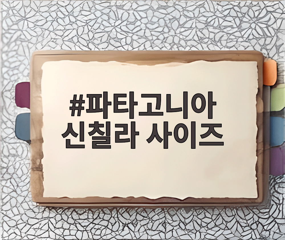 파타고니아 신칠라 사이즈