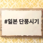 일본 단풍시기 11월이라고 믿었다면 올해 여행 계획 다시 확인하세요 일본 단풍시기