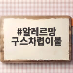 알레르망 구스차렵이불