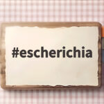 escherichia 대장균 요로감염과 식품검사까지 한번에 escherichia