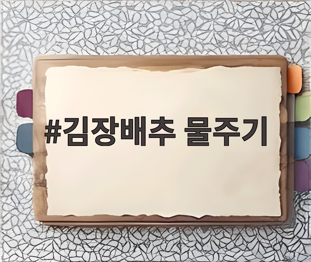 김장배추 물주기