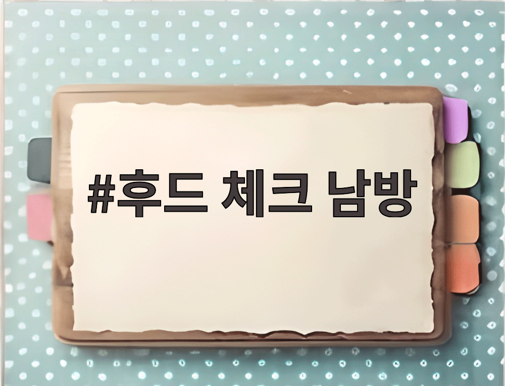 후드 체크 남방