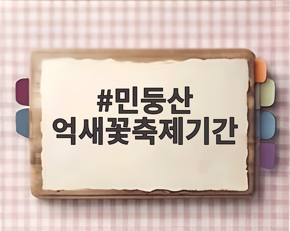 민둥산 억새꽃축제기간