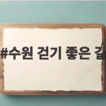 수원 걷기 좋은 길 화성 성곽과 서호에서 만나는 가을 산책 수원 걷기 좋은 길