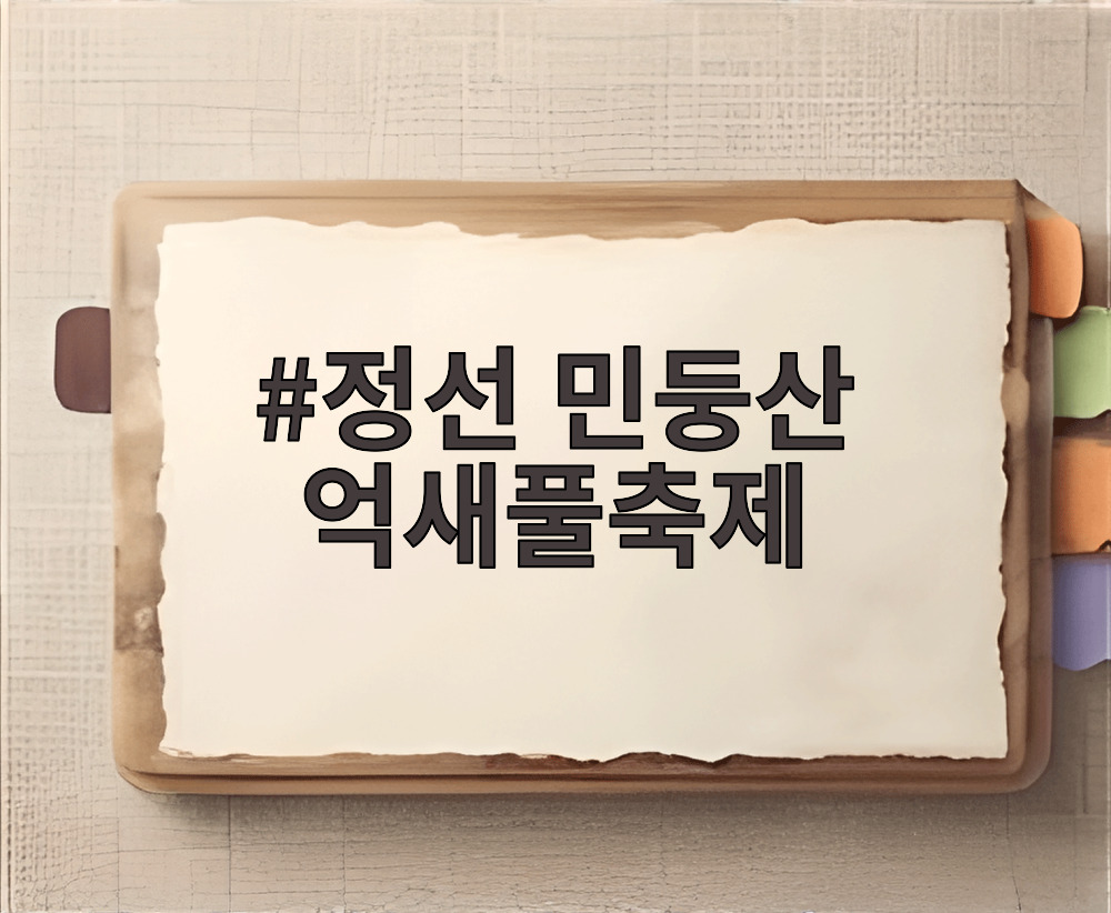 정선 민둥산 억새풀축제