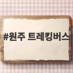 원주 트레킹버스 타고 무료로 걷는 가을 숲길 이야기 원주 트레킹버스