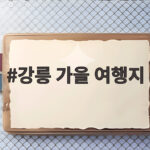 강릉 가을 여행지