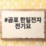 곰표 한일전자 전기요 세탁부터 차박까지 겨울 온기 이렇게 준비하세요 곰표 한일전자 전기요