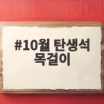 10월 탄생석 목걸이 하나로 생일 선물의 품격이 달라집니다 10월 탄생석 목걸이
