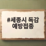 세종시 독감 예방접종 시기와 대상 무료접종 확인하세요 세종시 독감 예방접종