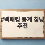 백패킹 동계 침낭 추천