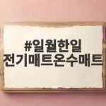 일월한일 전기매트온수매트 전기세 월 3900원의 비밀 일월한일 전기매트온수매트