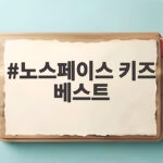 노스페이스 키즈 베스트 아이에게 맞는 활용법과 사이즈 고르는 법 노스페이스 키즈 베스트