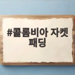 콜롬비아 자켓 패딩 겨울에도 가볍게 입는 비결 콜롬비아 자켓 패딩