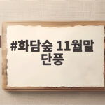 화담숲 11월말 단풍 마지막 늦가을 정취와 예약 꿀팁 화담숲 11월말 단풍