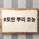 토란 뿌리 효능
