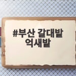 부산 갈대밭 억새밭