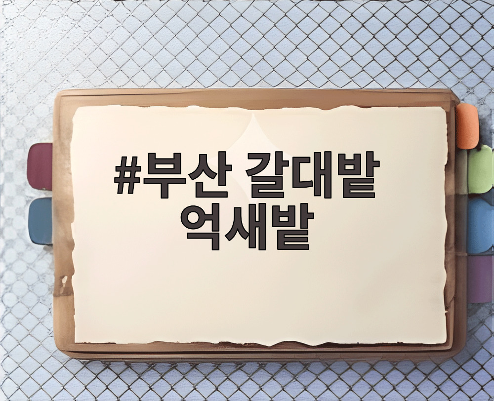 부산 갈대밭 억새밭