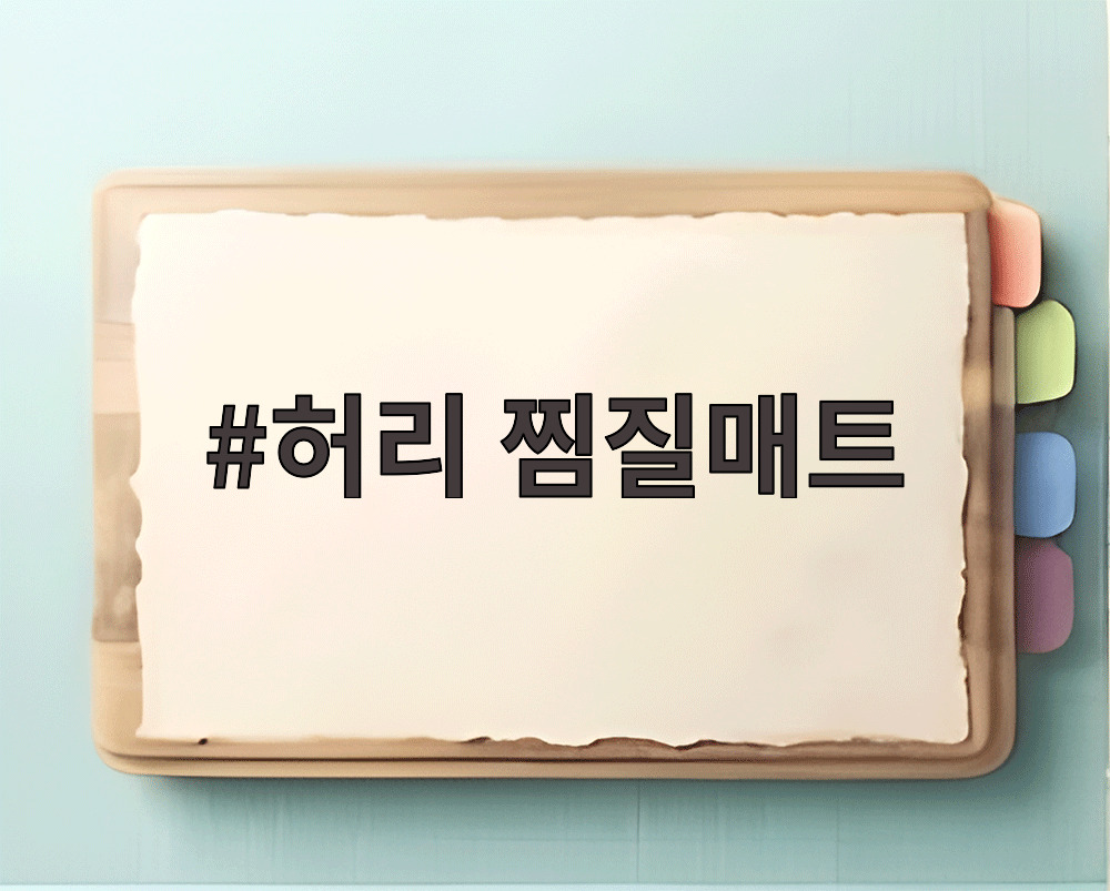 허리 찜질매트