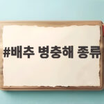 배추 병충해 종류
