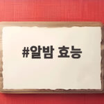 알밤 효능 제대로 알고 먹으면 가을 건강 간식 선택이 달라집니다 알밤 효능