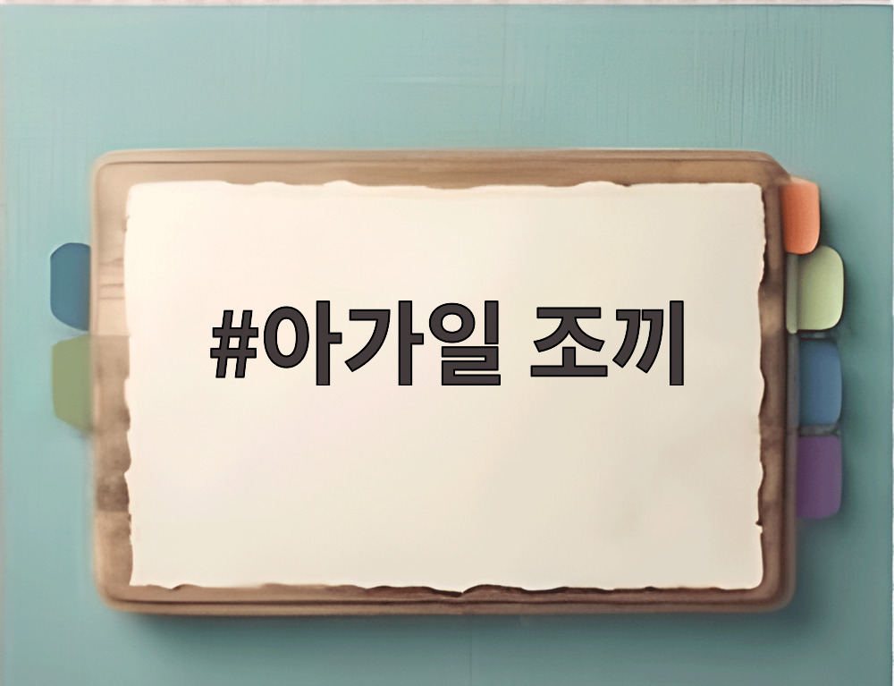 아가일 조끼