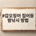 갑오징어 집어등 밤낚시 방법 가을밤 방파제에서 마릿수 올리는 비결 갑오징어 집어등 밤낚시 방법