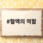 혈액의 역할