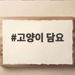 고양이 담요
