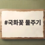 국화꽃 물주기 언제가 좋을까 꽃봉오리 시기에 확인하세요 국화꽃 물주기