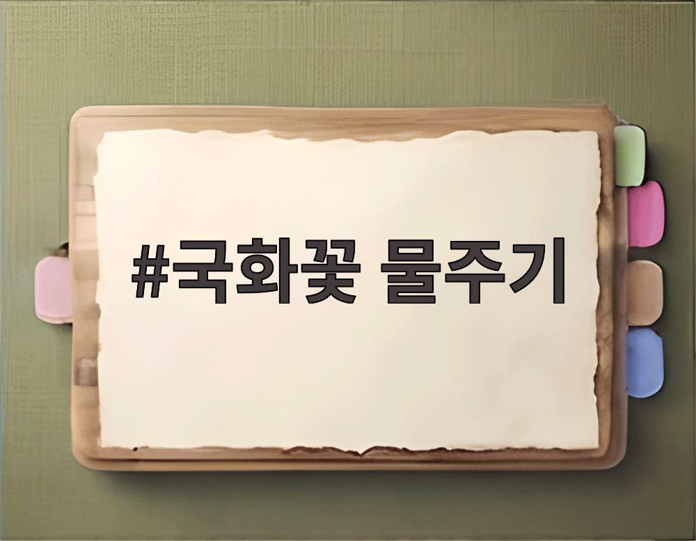 국화꽃 물주기