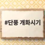 단풍 개화시기