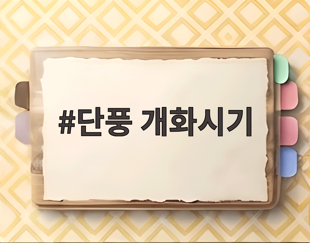 단풍 개화시기