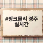 핑크뮬리 경주 실시간 개화 상황과 가을 산책 코스 추천 핑크뮬리 경주 실시간
