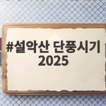 설악산 단풍시기 2025