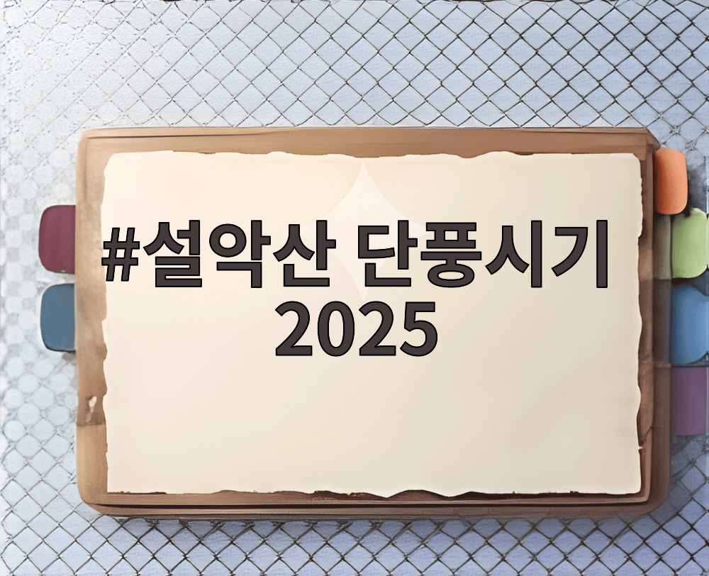 설악산 단풍시기 2025