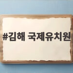 김해 국제유치원 월 4만원 진짜일까 공시자료로 확인해 보니 김해 국제유치원