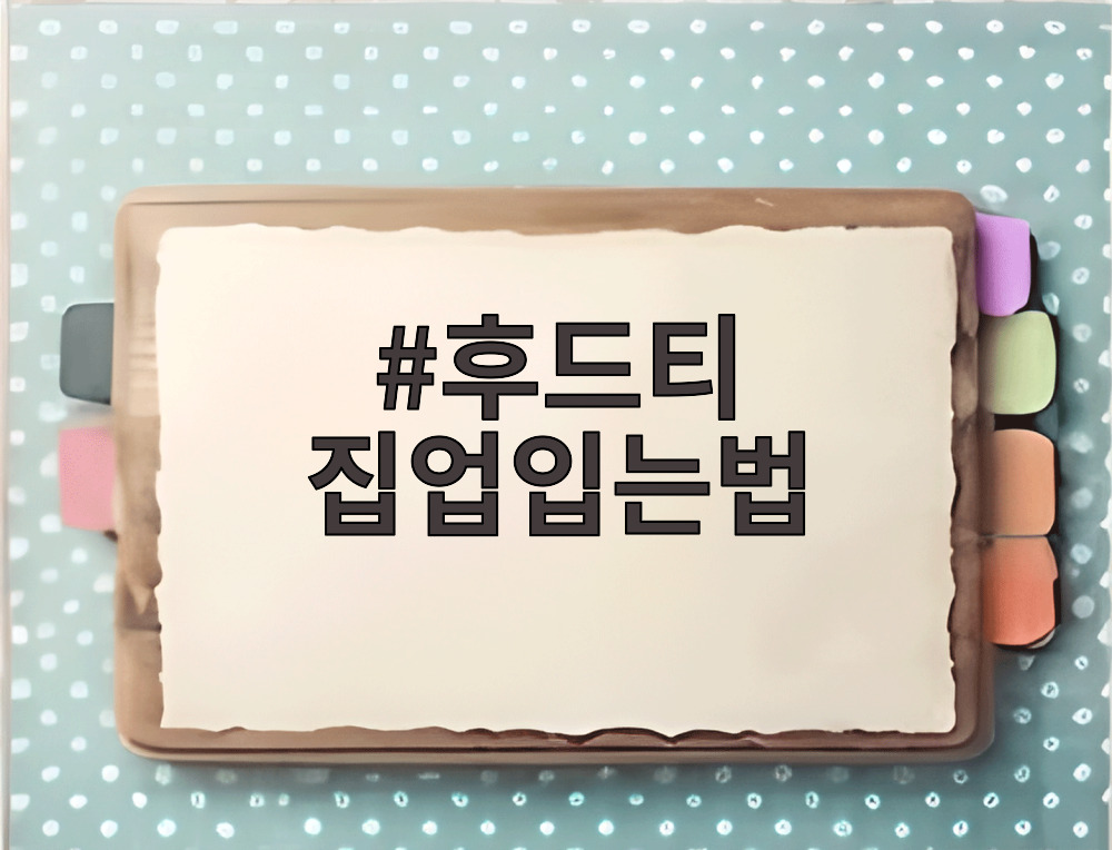 후드티 집업입는법
