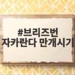 브리즈번 자카란다 만개시기 10월에 놓치면 일 년을 기다려요 브리즈번 자카란다 만개시기