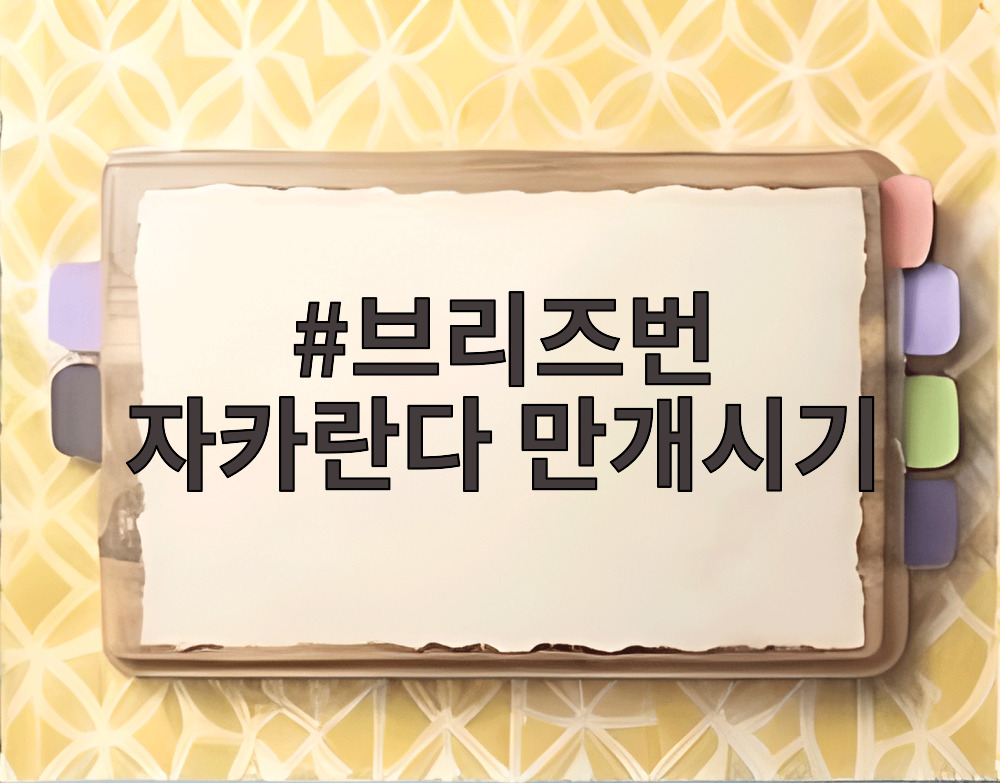 브리즈번 자카란다 만개시기