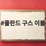 폴란드 구스 이불 사기전에 꼭 확인할 3가지 숫자 폴란드 구스 이불